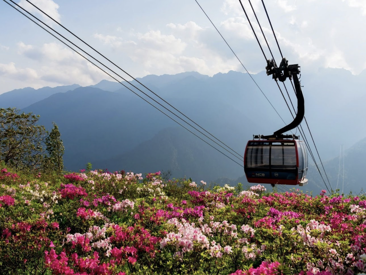 Chinh phục Fansipan bằng cáp treo tại Sun World Fansipan Legend thường được tách riêng để du khách tự lựa chọn theo nhu cầu.