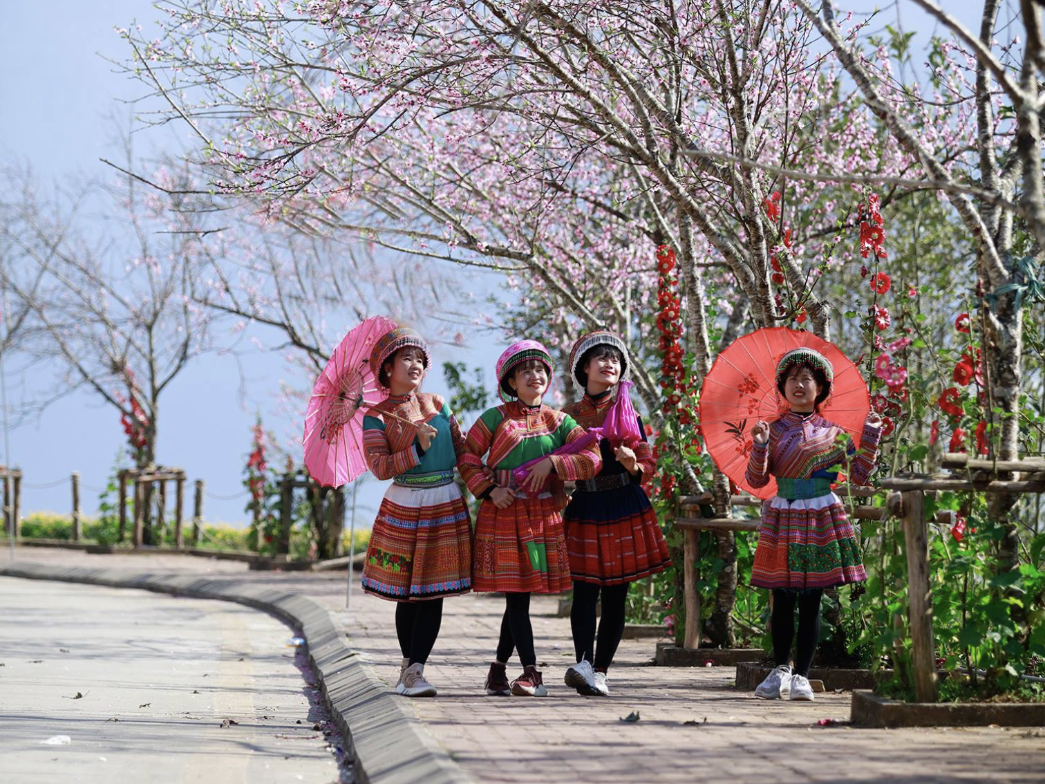 Du khách mặc trang phục văn hóa vùng cao - váy thổ cẩm chụp cùng hoa đào.