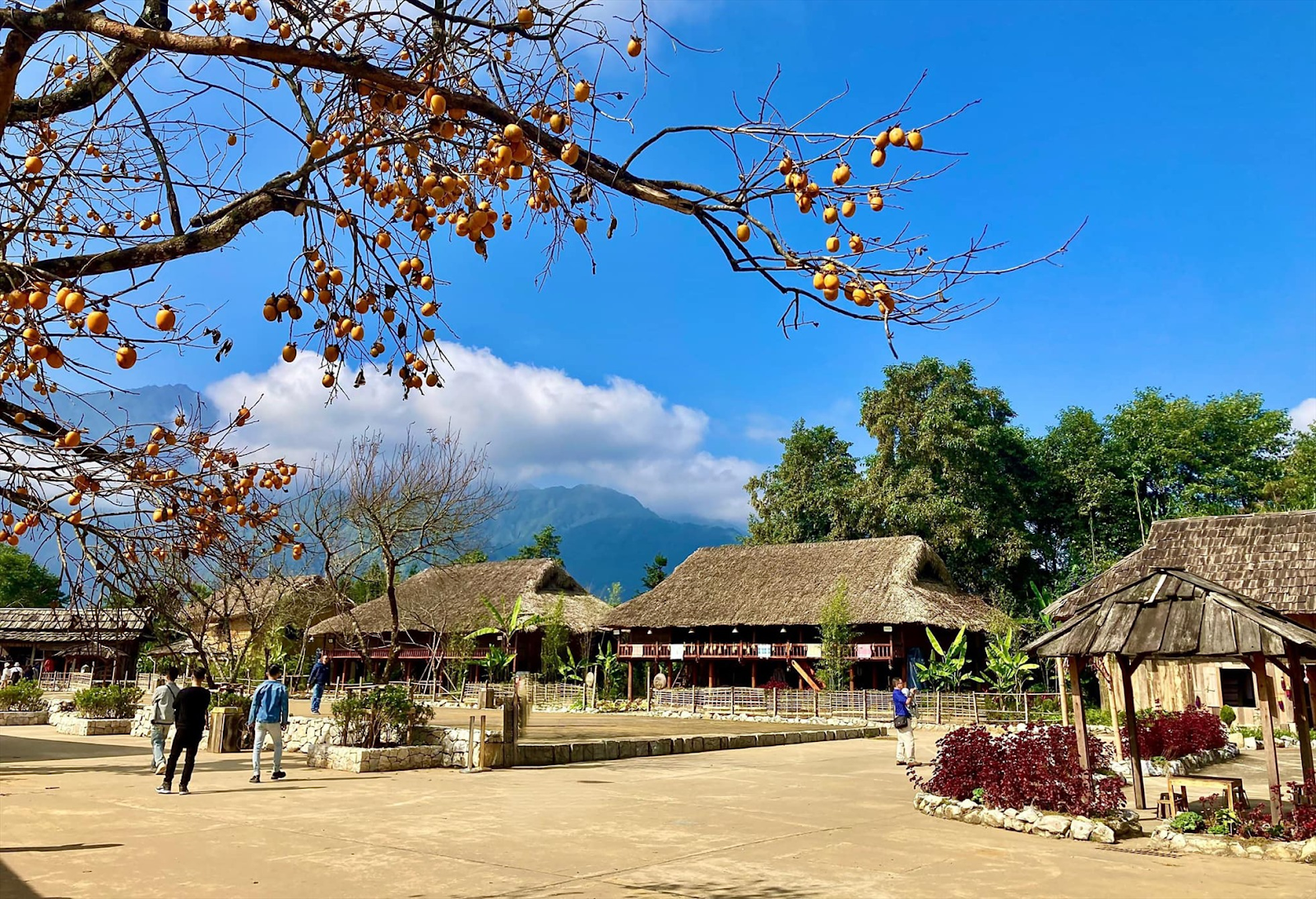 Authentic ethnic houses at the foot of Fansipan, showcasing Northwest Vietnam’s unique architecture