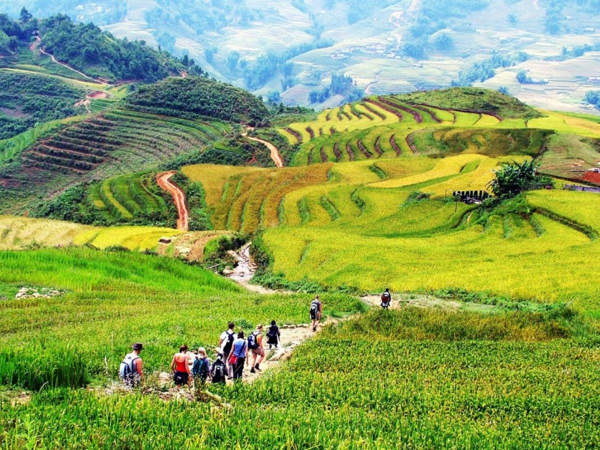 After reaching the highest peak, the visitors can now be grounded and experience the Muong Hoa valley by foot (Source: Collected)