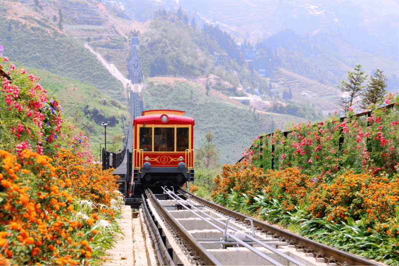 The allure of endless rows of flowers in Muong Hoa Valley (Source: Collected)