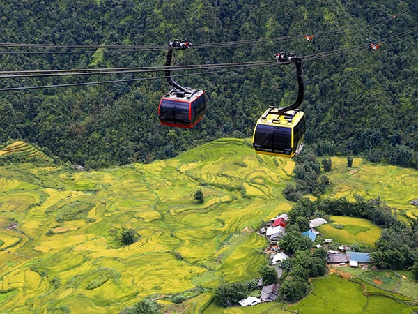 Visitors could also experience the golden harvest among the clouds in the Fansipan cable car (Source: Sun World Fansipan Legend)