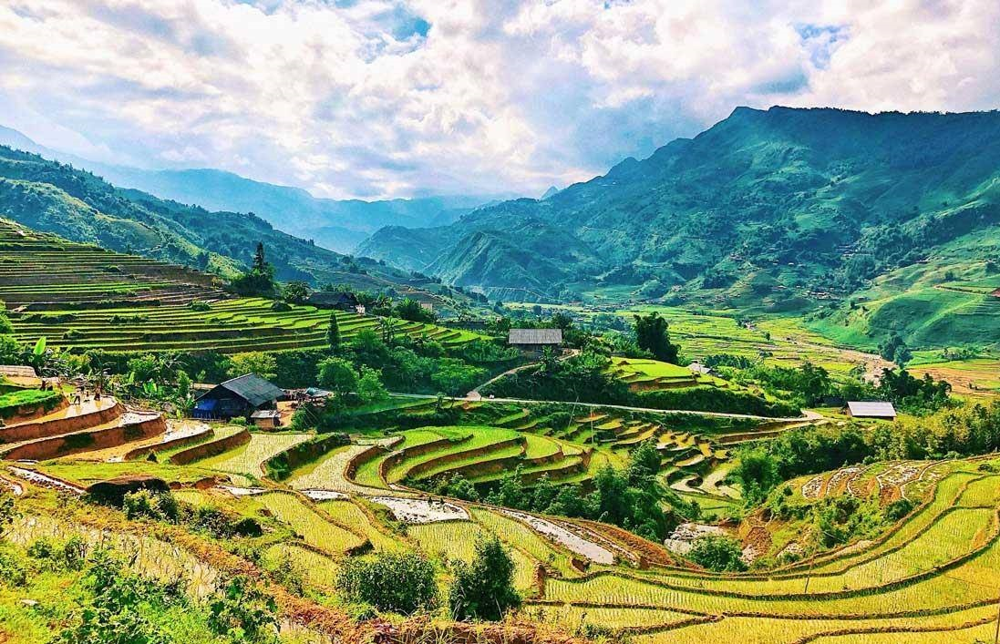 Golden waves of terraced fields cascading down the mountainside in Lao Chai, backed by the majestic Hoang Lien Son range. (Source: Collected)
