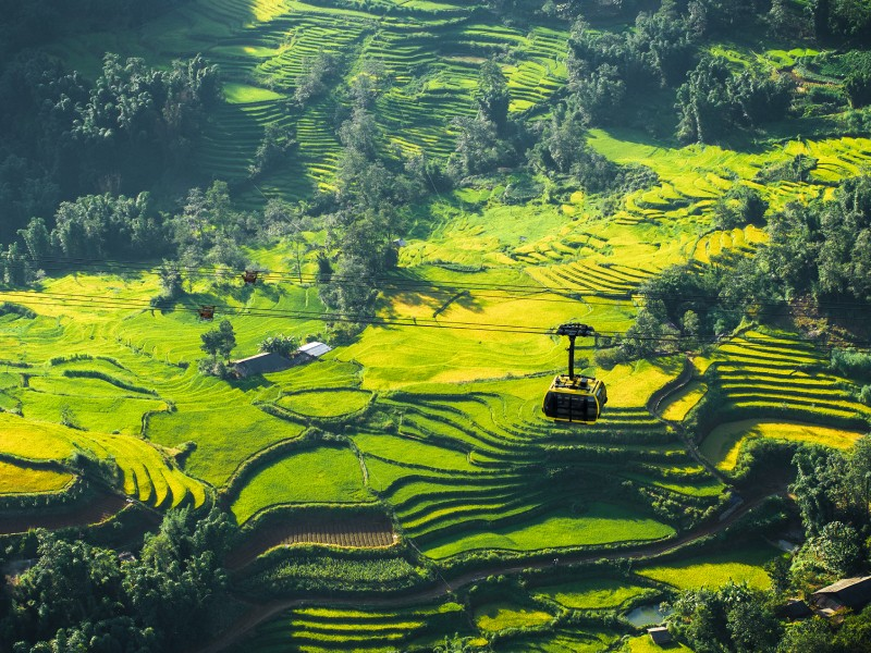 The beautiful “golden harvest season” aerial view from the record-breaking cable car (Source: Collected)