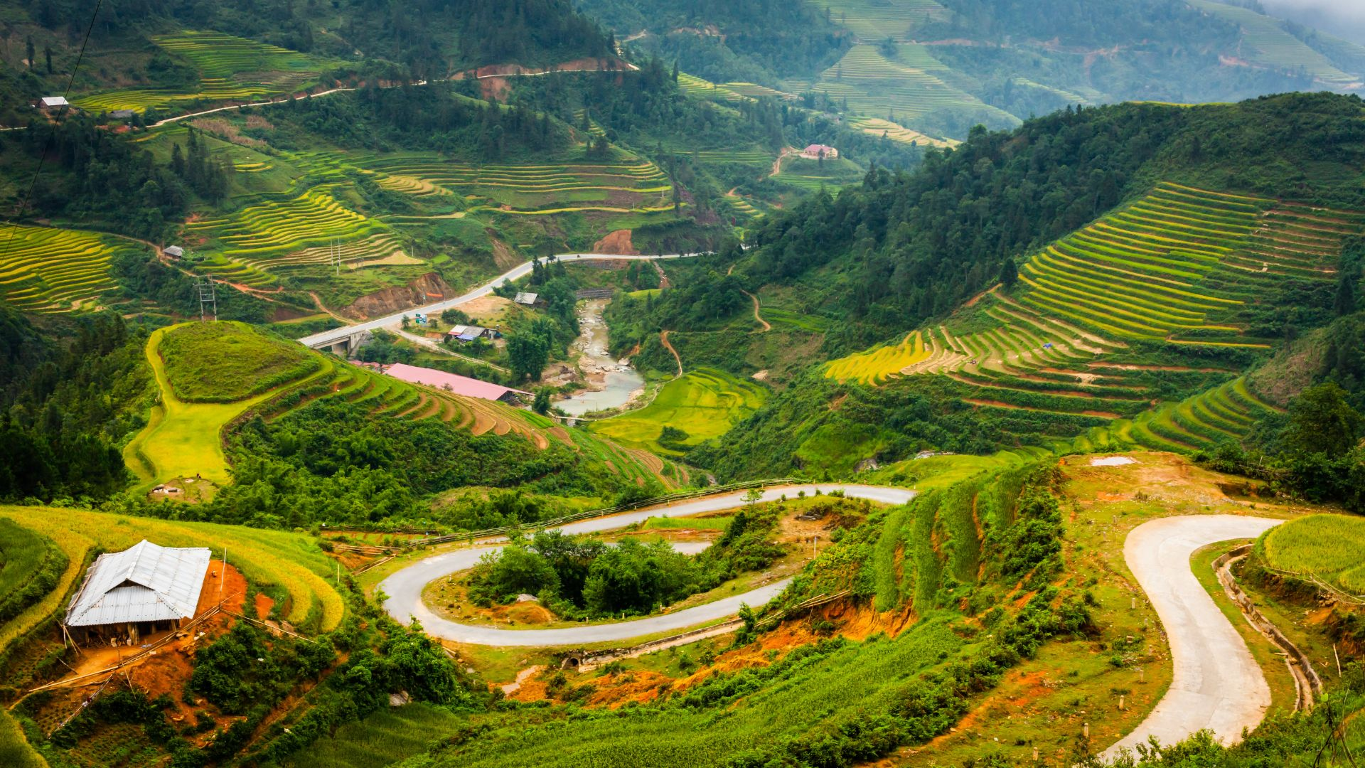 A peaceful Tay settlement tucked away at the end of the Muong Hoa stream, offering a serene escape far off the beaten track. (Source: Collected)