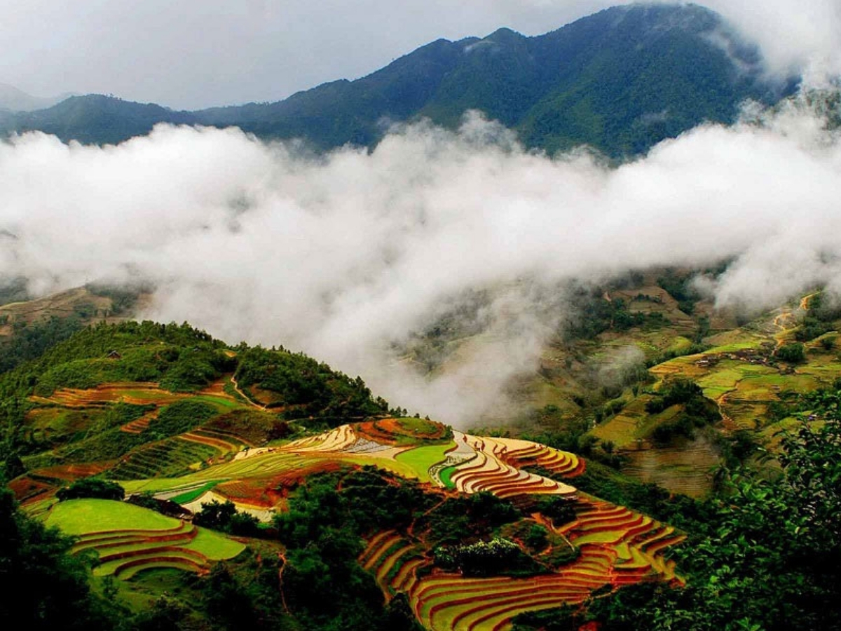 Ruộng bậc thang Sa Pa hòa cùng mây núi thể hiện rõ nét đẹp văn hóa bản địa.