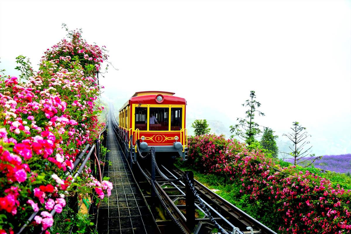 Tàu hỏa leo núi Mường Hoa đưa du khách băng qua thiên nhiên Tây Bắc hùng vĩ