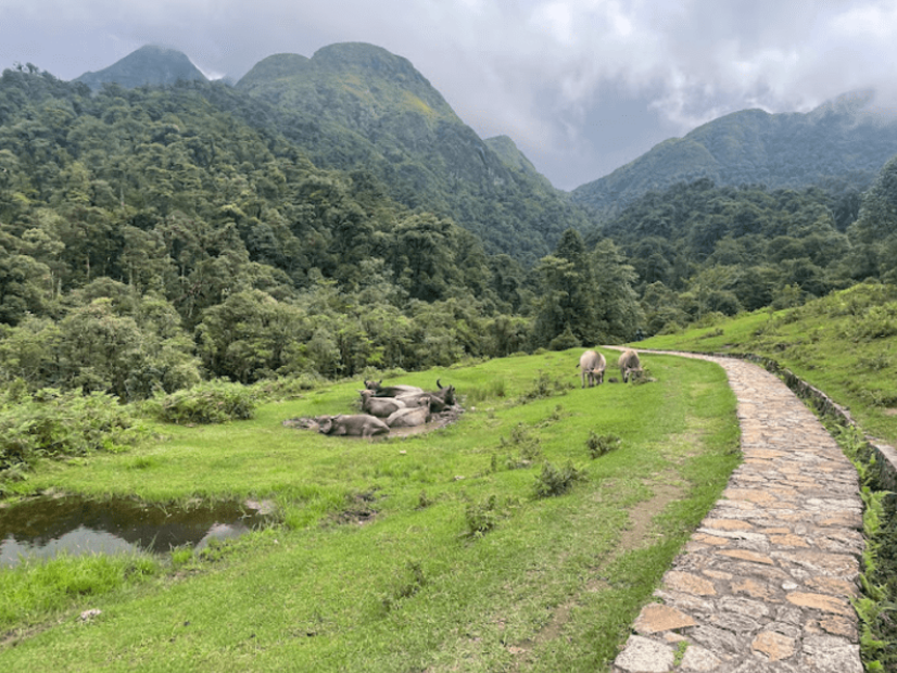 Cung đường trekking được thiết kế tương đối dễ đi, với các bậc đá xếp chắc chắn, độ dốc vừa phải.