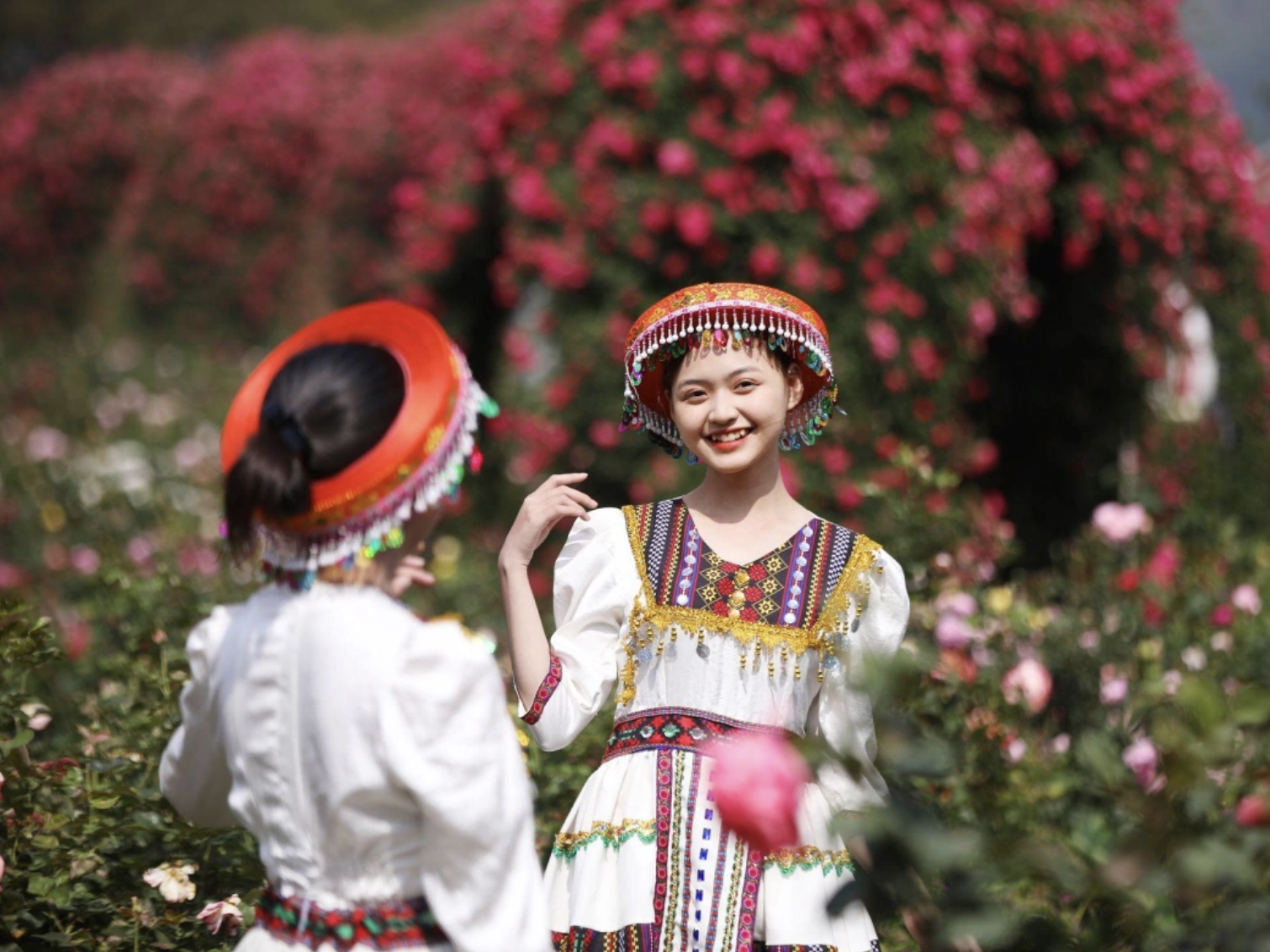 Ngay tại thung lũng hoa hồng ở nhà ga đi cáp treo Fansipan, hàng triệu đóa hồng leo, hồng ngoại đang khoe sắc.