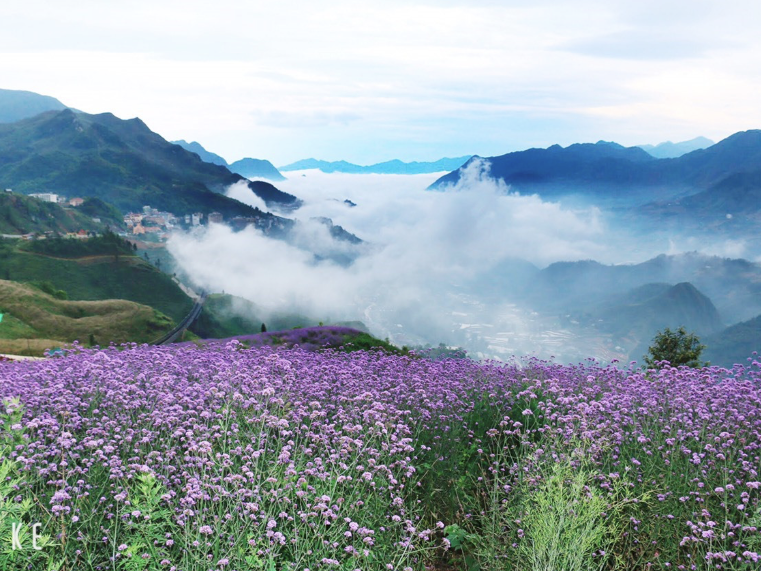 Mây tụ ở chân núi hoặc lơ lửng trên các thung lũng như Thung lũng Mường Hoa.