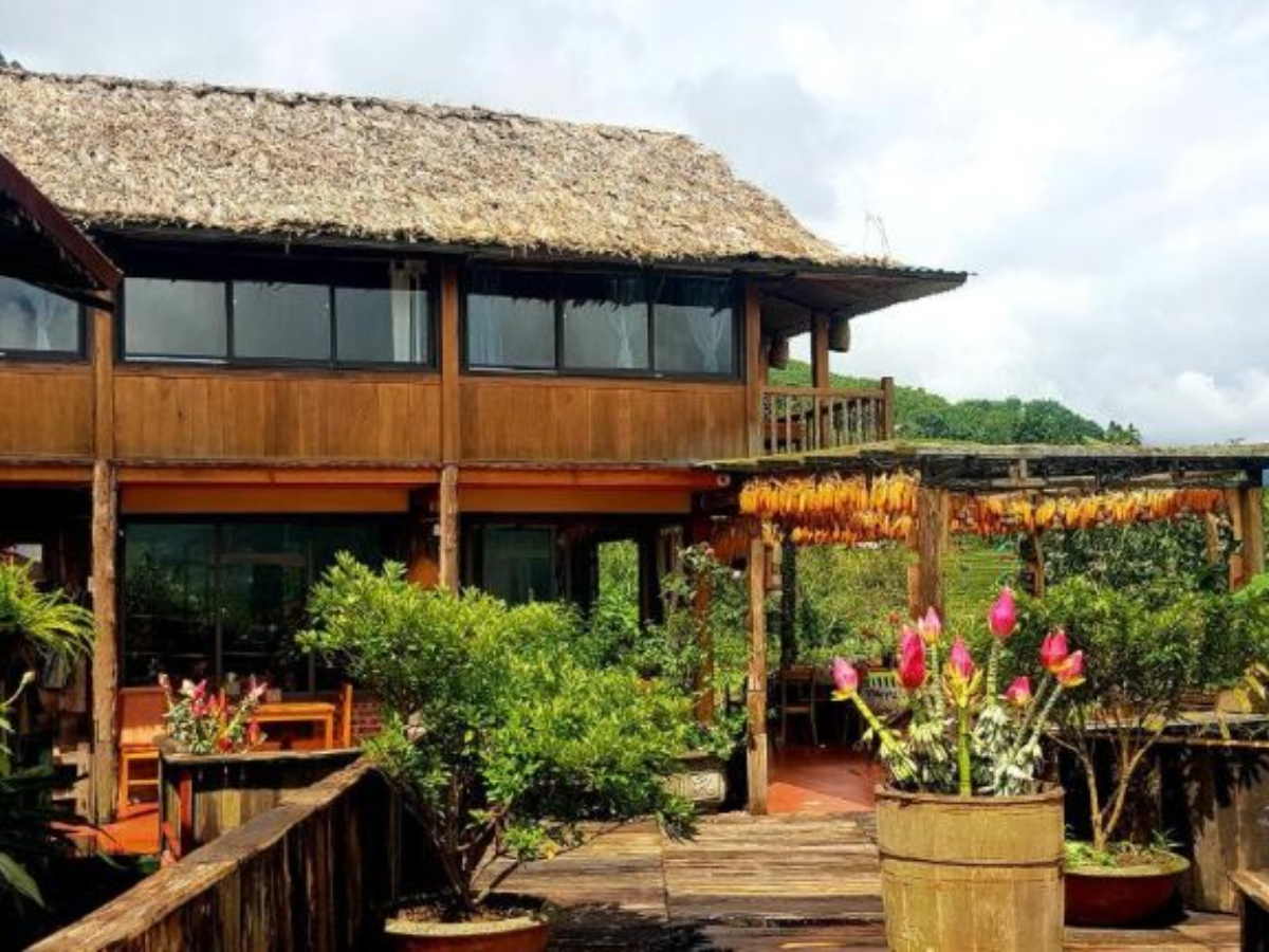 Nếu không thích cắm trại bạn có thể nghỉ tại homestay bản địa hoặc bungalow gỗ.