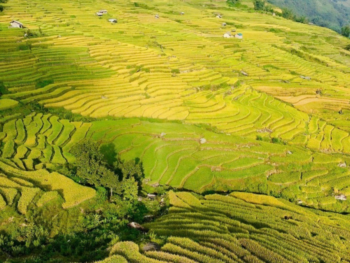 Quanh Bản Mây có nhiều trải nghiệm thú vị để bạn lựa chọn và làm phong phú hành trình.