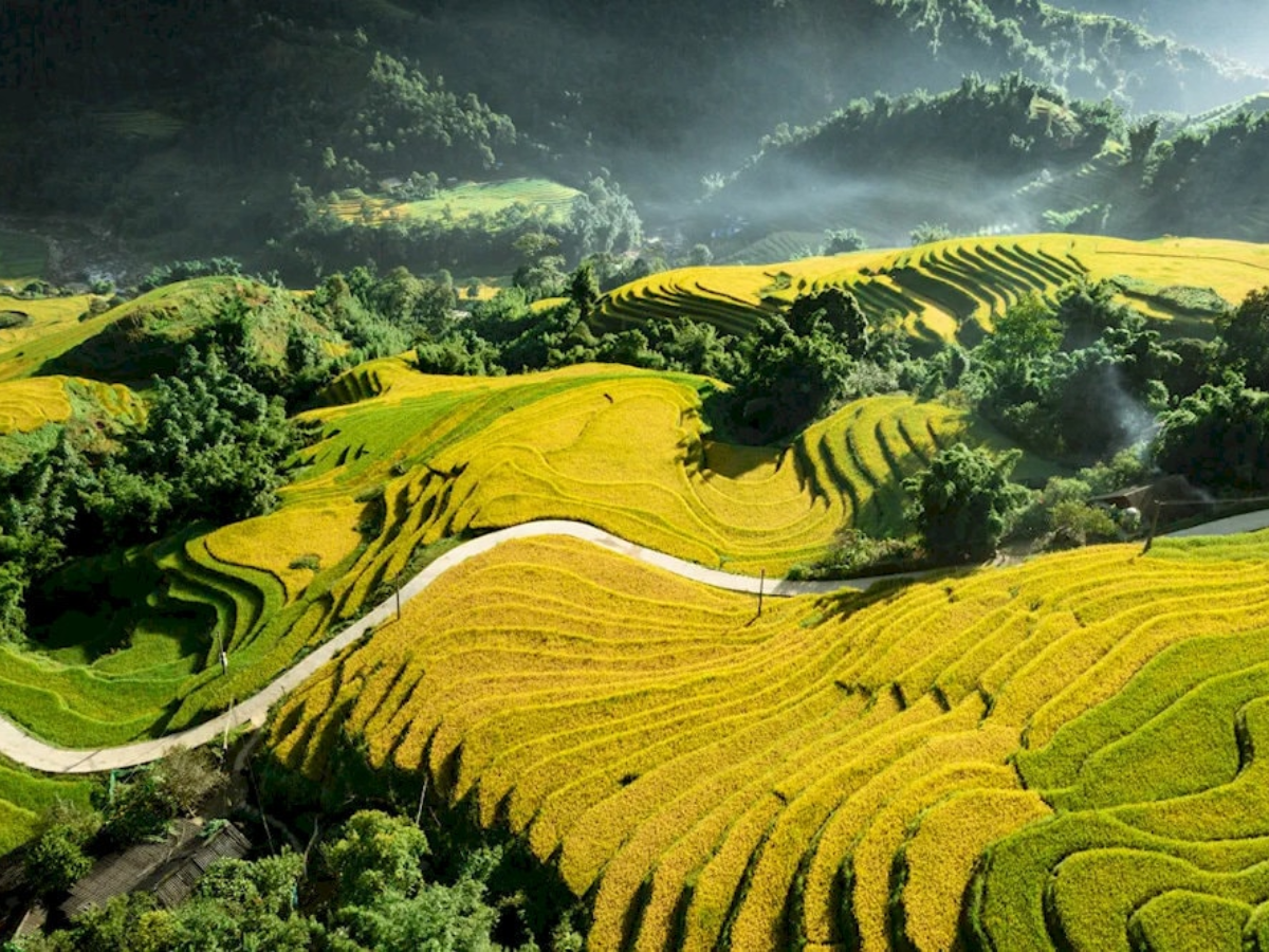 Trưa bạn có thể quay lại Bản Mây hoặc ghé Tả Van Lao Chải ngắm ruộng bậc thang.