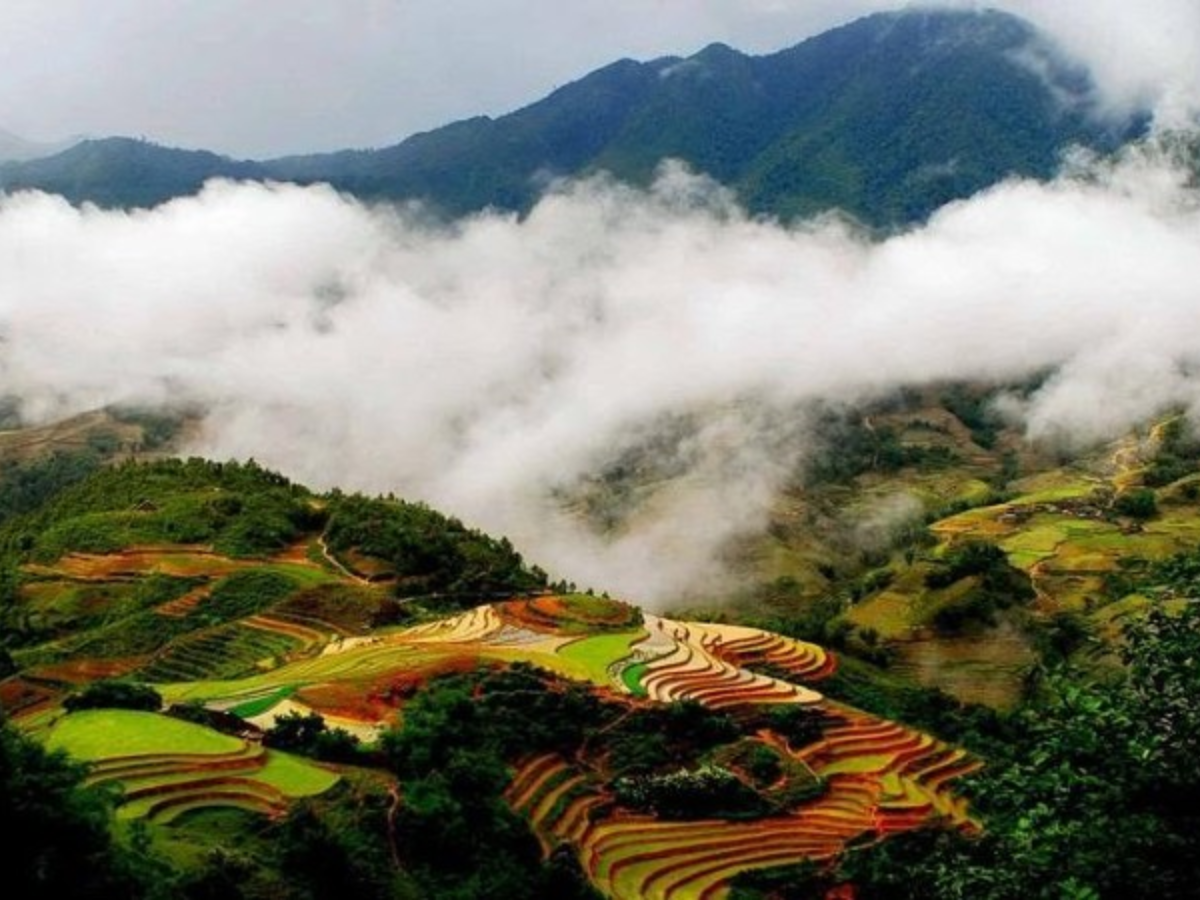 Mỗi mùa ở Sa Pa đều mang vẻ đẹp riêng khiến du khách luôn muốn quay lại.