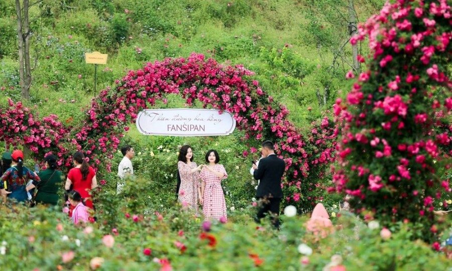 Tourists pose for photos next to the roses