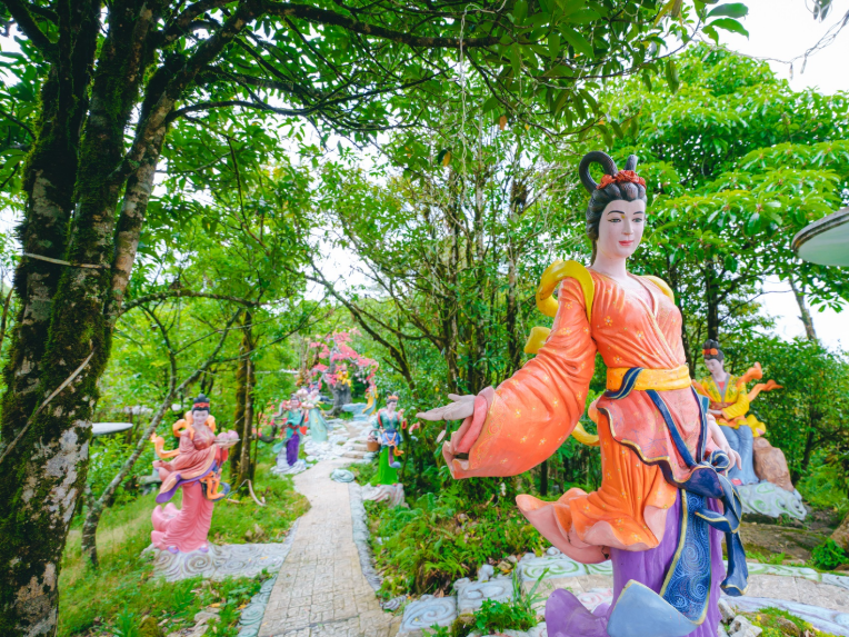 Những gốc đào có tuổi đời hàng chục năm, thân phủ rêu xanh, tạo nên khung cảnh đặc trưng.