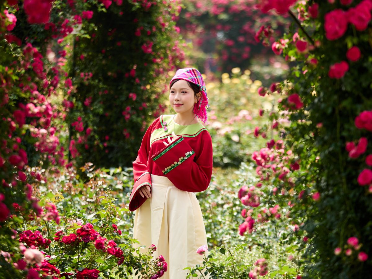 Sun World Fansipan Legend mang đến tầm nhìn núi rừng hùng vĩ.
