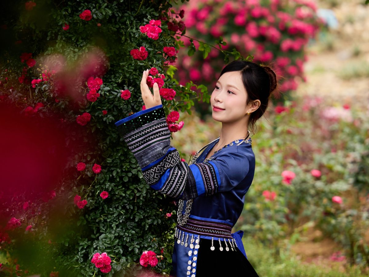 Sun World Fansipan Legend mang đến tầm nhìn núi rừng hùng vĩ.