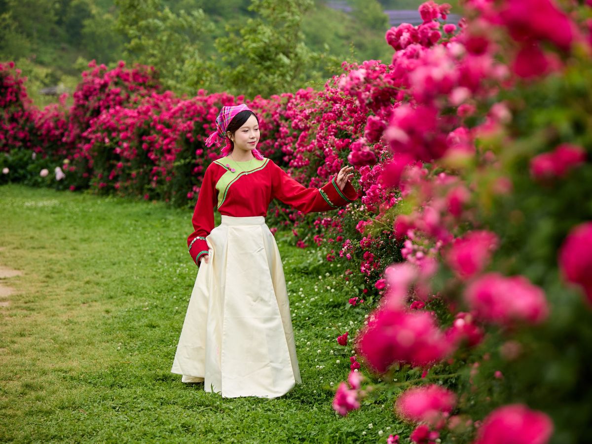 Du khách trải nghiệm thung lũng hoa hồng ở Fansipan
