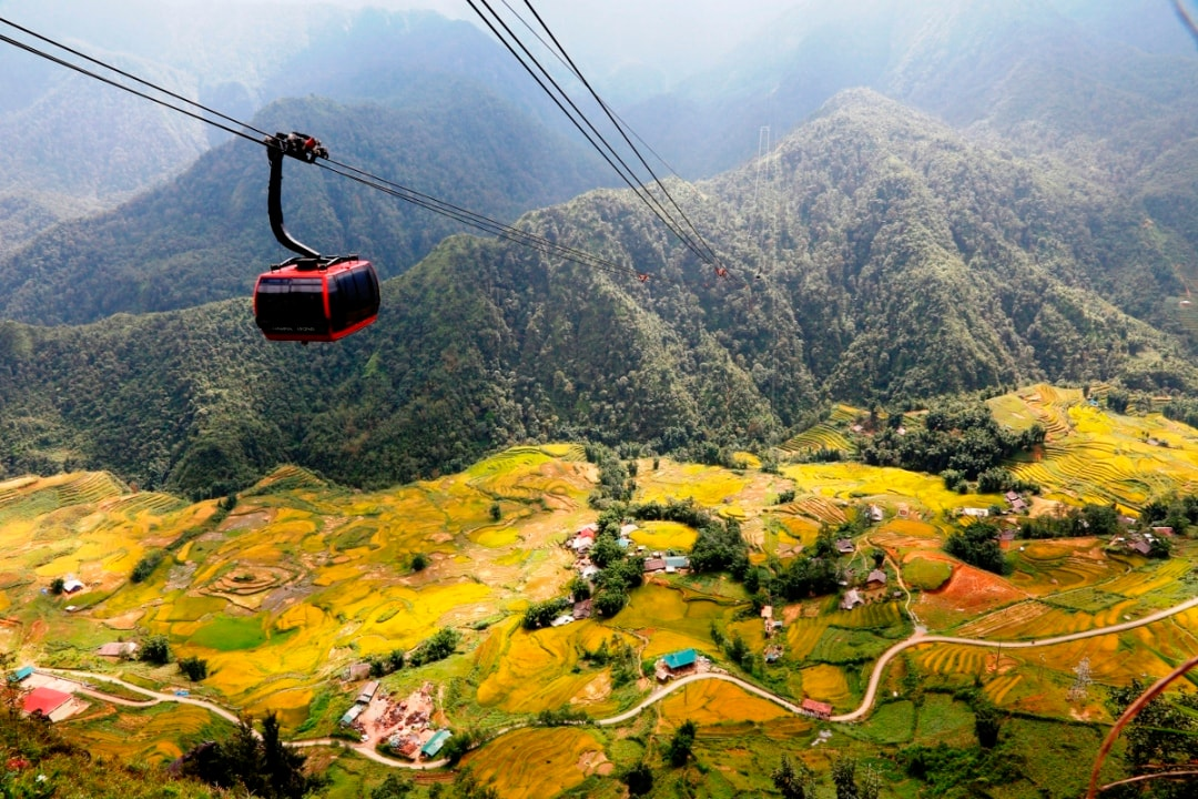 Ngắm nhìn thung lũng Mường Hoa mùa lúa chín từ cáp treo Fansipan.