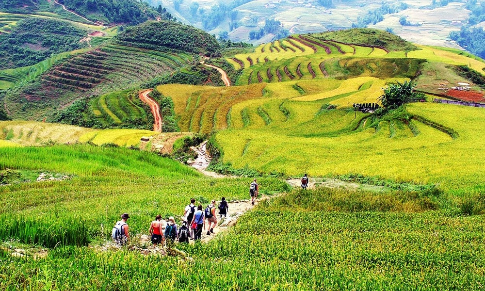 Trekking qua các triền ruộng bậc thang tại thung lũng Mường Hoa