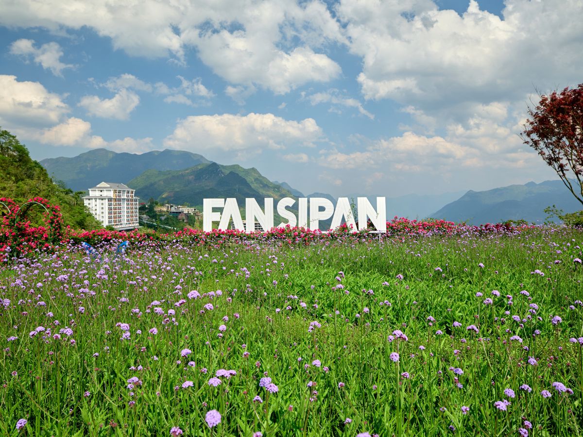 Sun World Fansipan Legend mang đến tầm nhìn núi rừng hùng vĩ