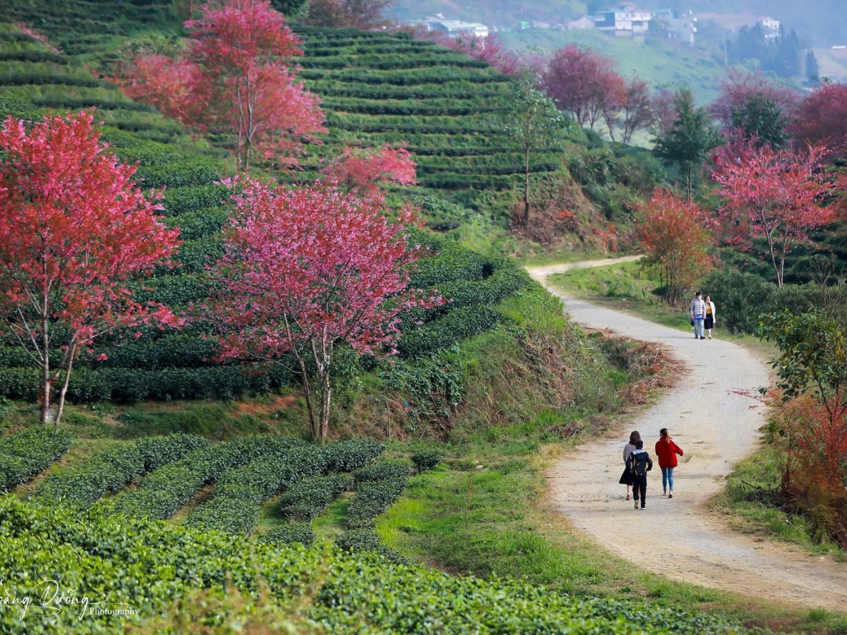 Văn hóa vùng núi tạo nên chiều sâu cho chuyến nghỉ dưỡng.