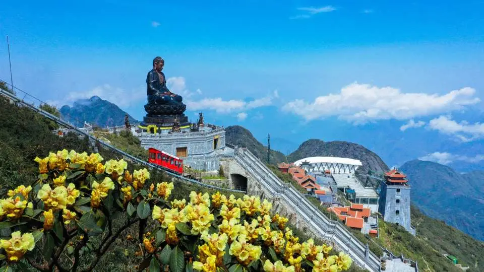 Thiết kế màu đỏ nổi bật của tàu hoả Đỗ Quyên