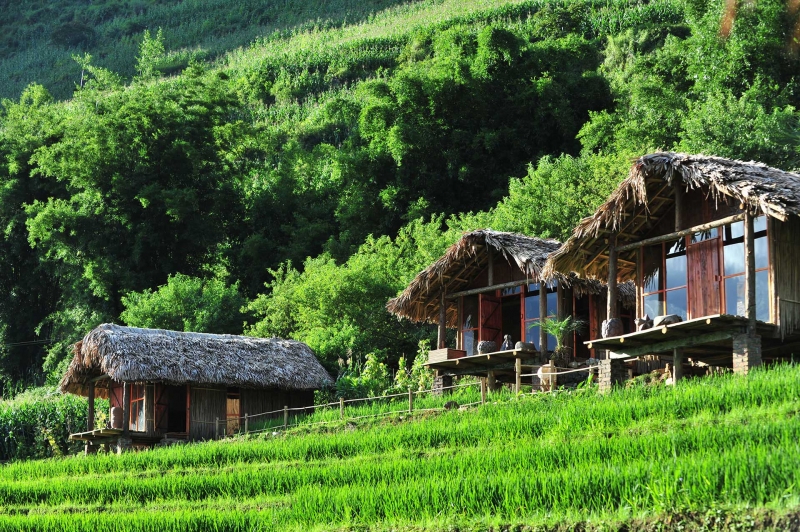 Ở Phơri’s House, nhẹ nhàng và ấm áp.