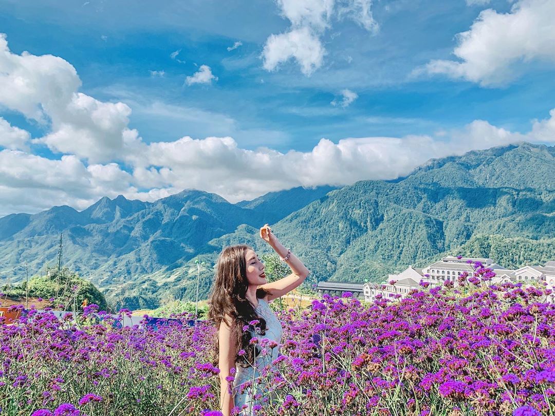 Hoa nở giữa núi rừng, giản dị mà rất đẹp.