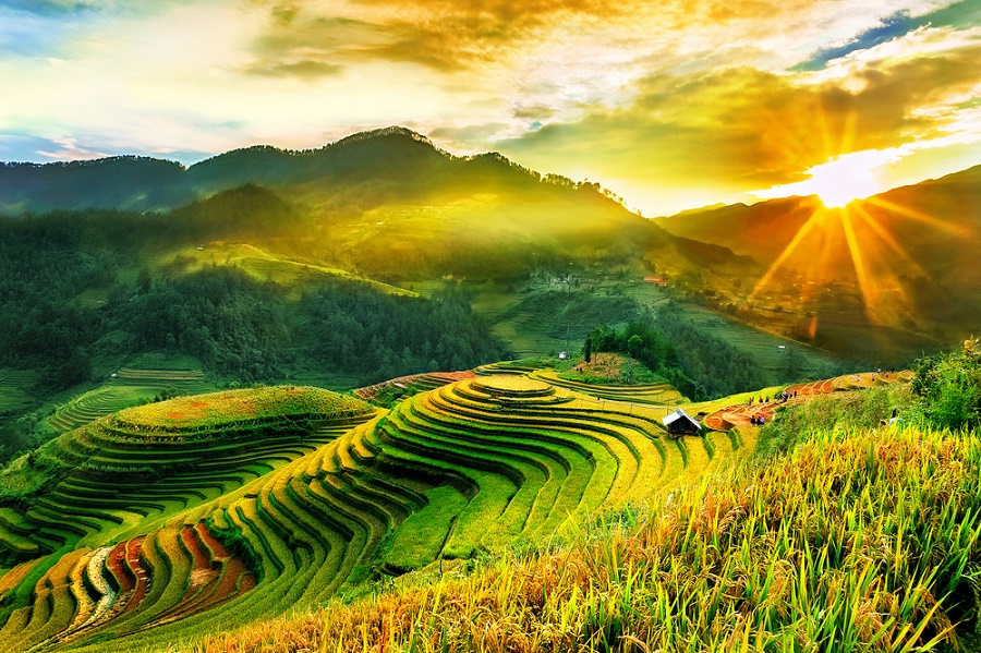 Mùa hè ở Sa Pa - nắng không gắt, gió vừa đủ, xanh và yên.