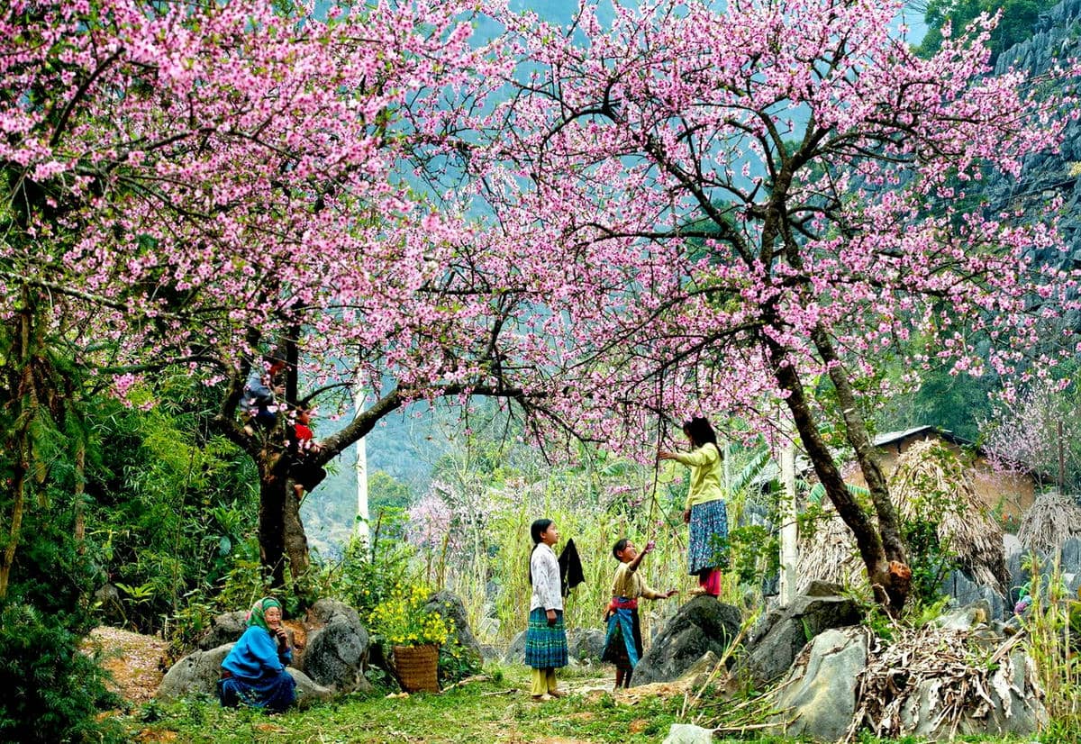 Những con dốc nhỏ rực rỡ sắc hoa.