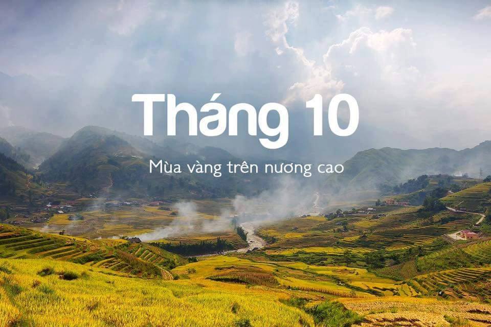 Tháng 10, Sa Pa khoác lên mình màu vàng của mùa lúa chín.