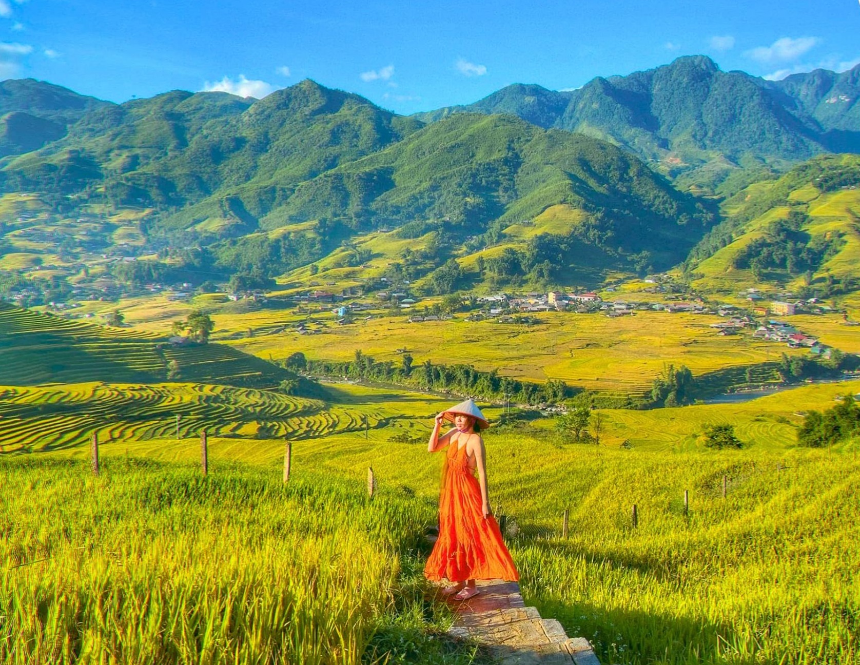 Những bậc thang vàng óng, dẫn lối vào mùa thu.