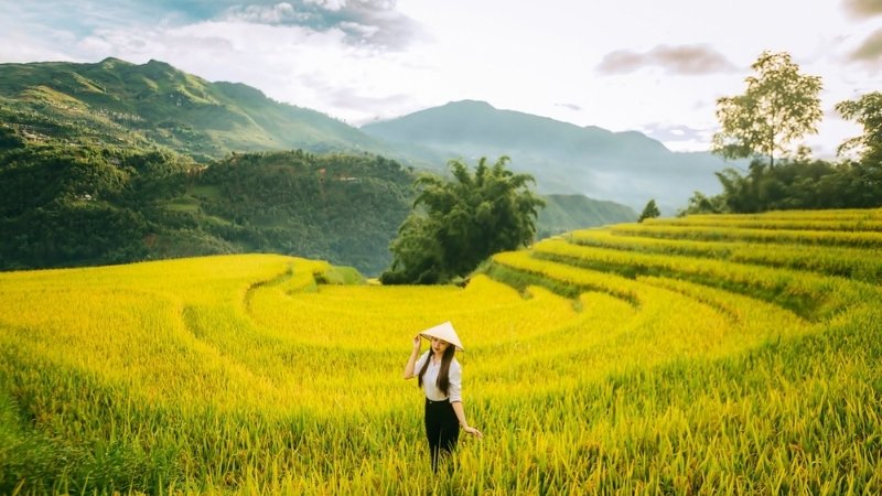 Khi mùa vàng chạm núi, Sa Pa đẹp đến nao lòng.
