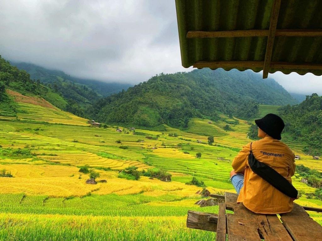 Lúa chín trên cao, gió mang theo mùi thơm rất khẽ.