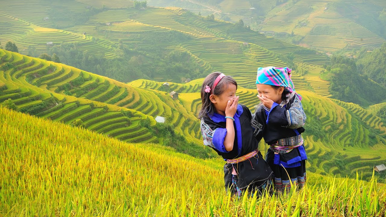 Sa Pa mùa vàng, nơi thiên nhiên và con người hòa làm một.