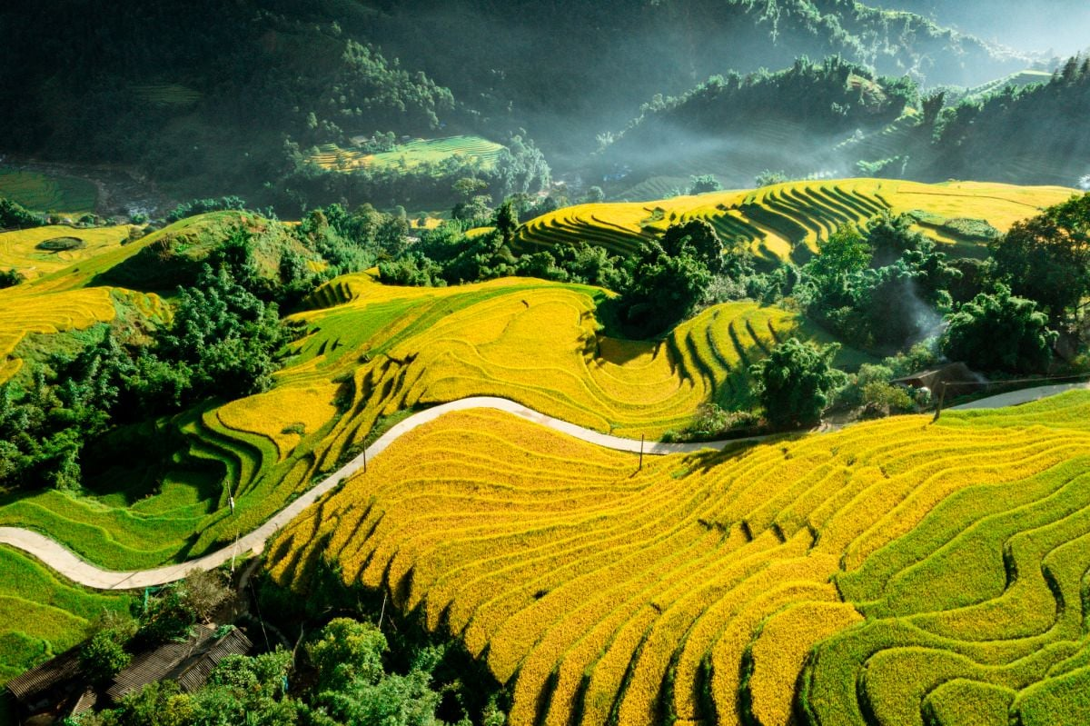 The beauty of the terraced rice fields in Lao Chai village