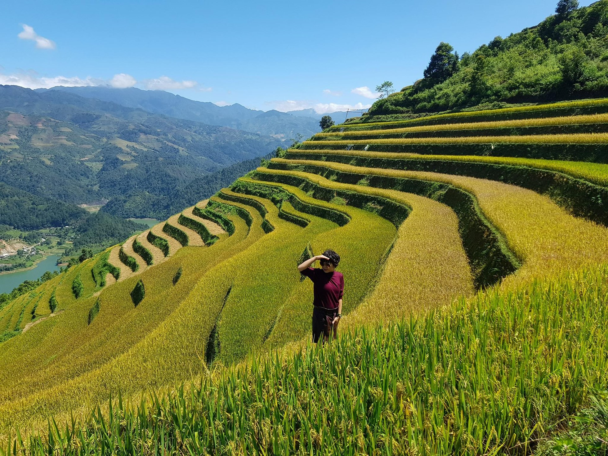 Tourists check in at the terraced rice fields in the early morning