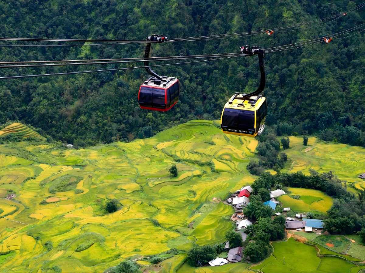 Visitors can admire the panoramic view of the terraced rice fields in Muong Hoa Valley from the Fansipan cable car