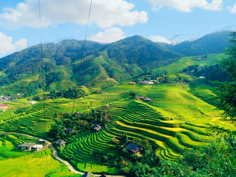 Terraced rice fields in Sa Pa during the green rice season