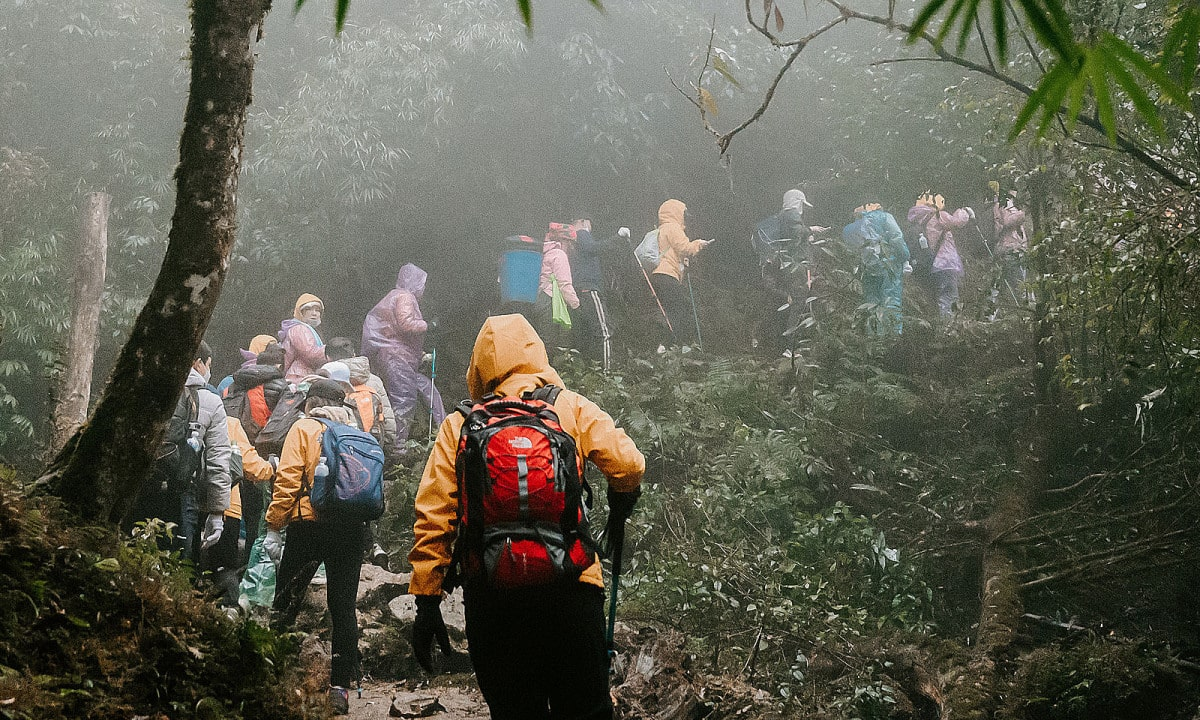 Fansipan is renowned as one of the most challenging trekking routes in Northern Vietnam