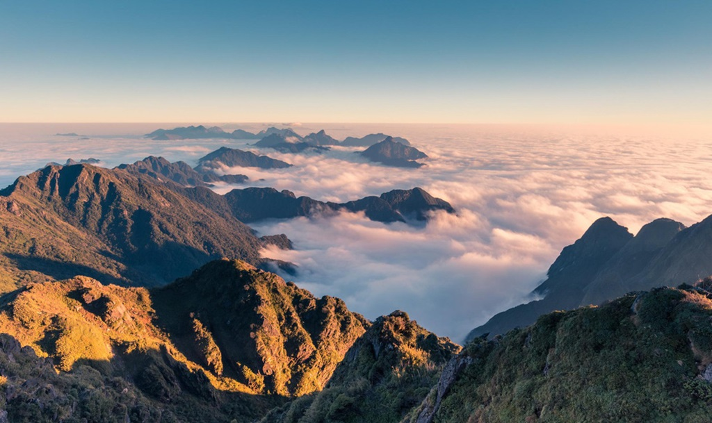 Visitors can admire the diverse natural ecosystem in Sa Pa while trekking Fansipan