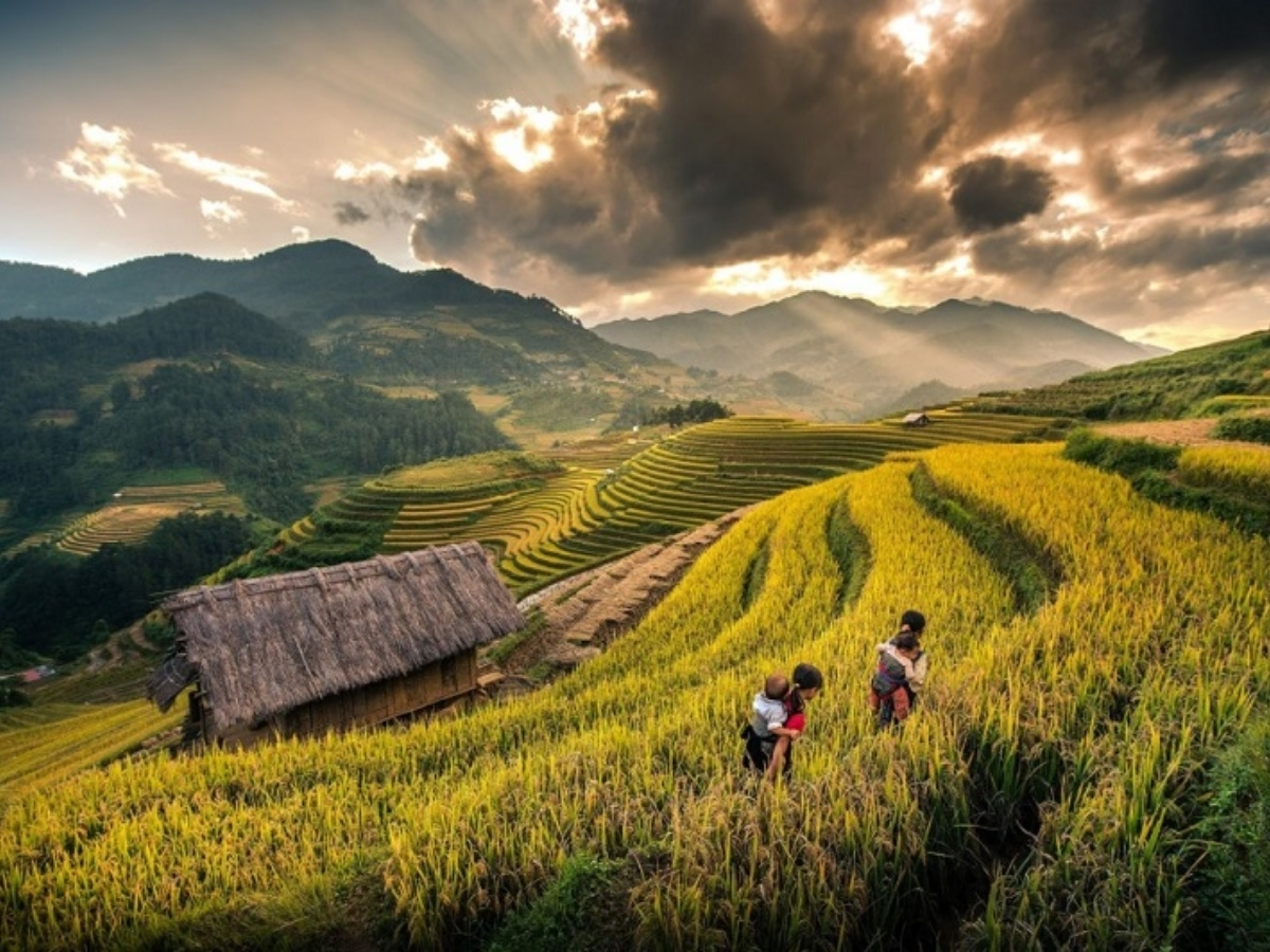Cung trekking Lao Chải và Tả Van đưa du khách chiêm ngưỡng ruộng bậc thang mềm mại.
