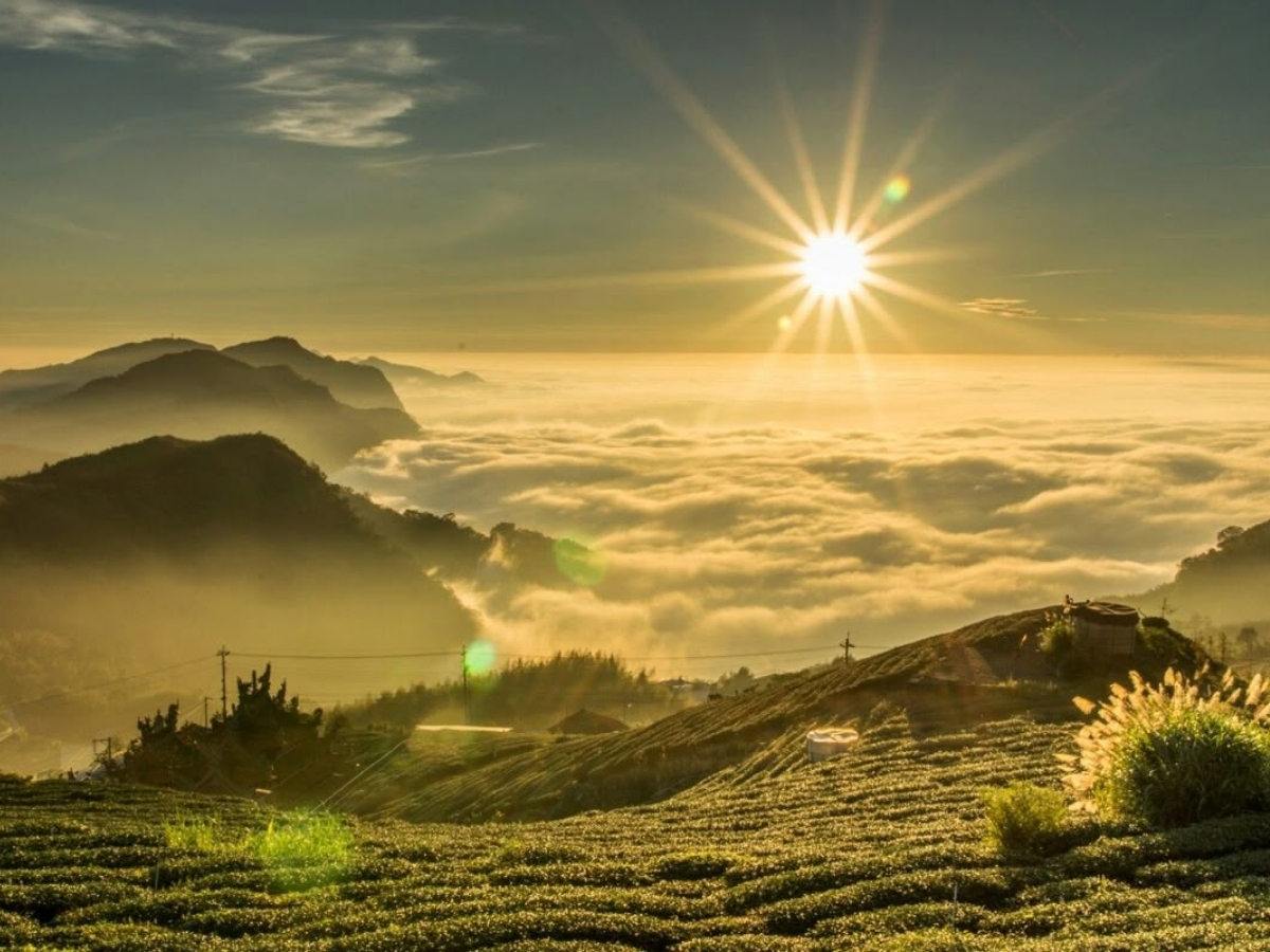 Cảnh quan Sa Pa mùa hè nổi bật với biển mây cùng đồi núi xanh hùng vĩ.