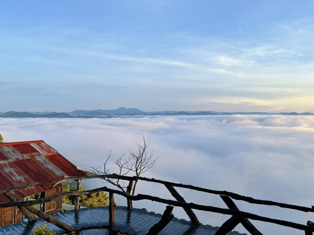 Biển mây Sa Pa mùa hè xuất hiện dày vào sáng sớm khi trời quang.