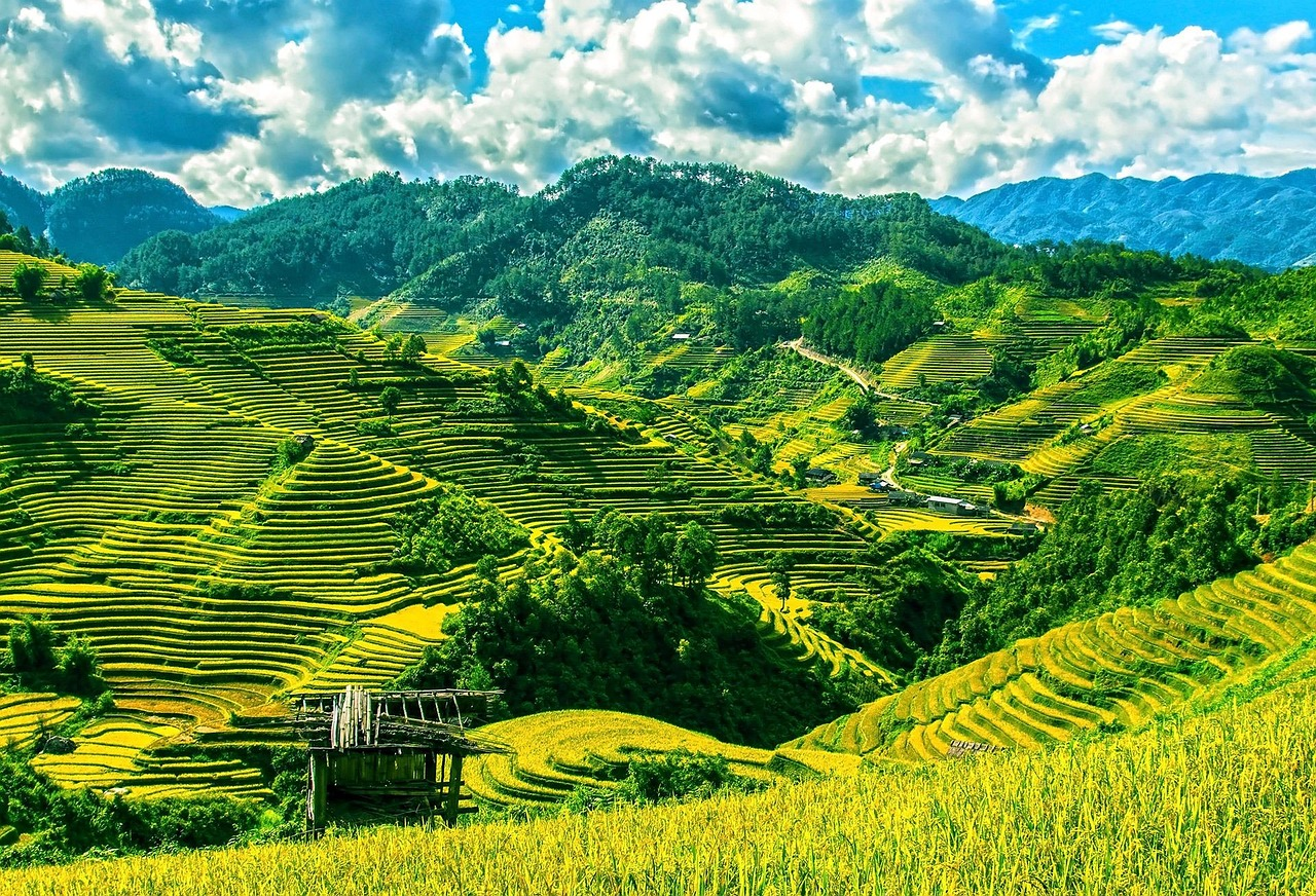 Thung lũng Mường Hoa xanh mướt trong mùa lúa non Sa Pa.