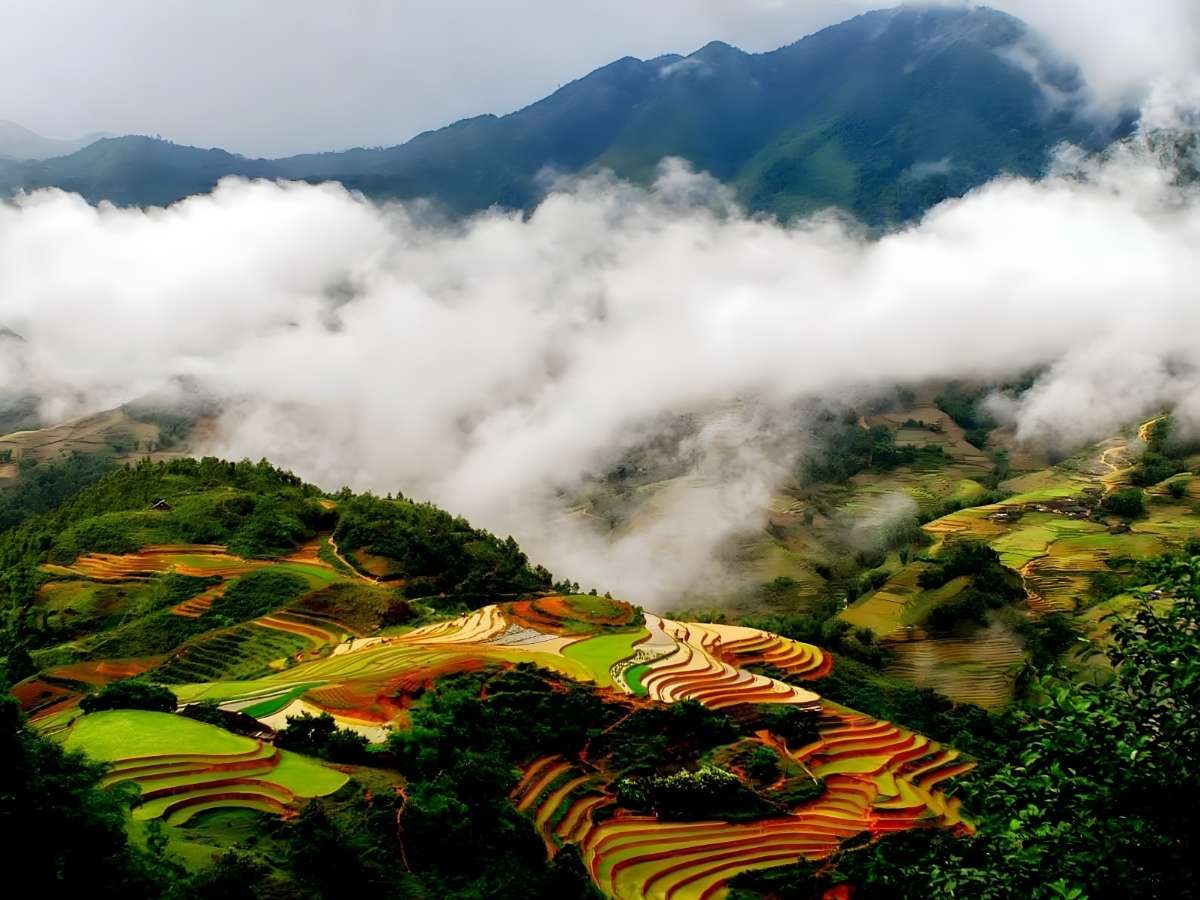 Hành trình Sa Pa - Y Tý cách nhau khoảng 70-80 km với ruộng bậc thang và biển mây vùng núi cao.