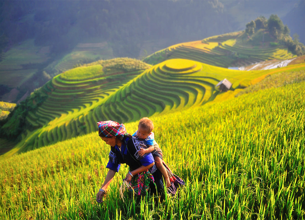 “Đồi mâm xôi” đã lọt vào khung hình của các bạn trẻ hay những nhà nhiếp ảnh. (Nguồn: Sưu tầm)