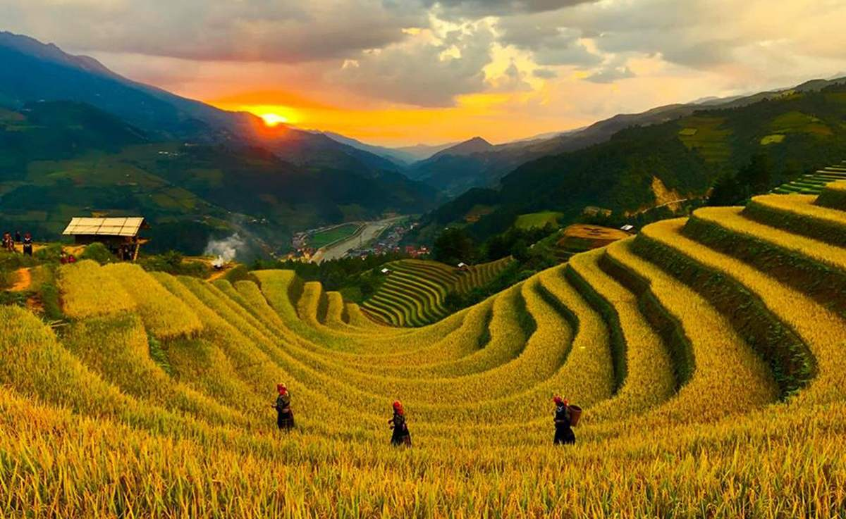 Đồi Móng Ngựa là một trong những điểm ngắm ruộng bậc thang có hình thái đặc biệt ở Mù Cang Chải. (Nguồn: Sưu tầm)